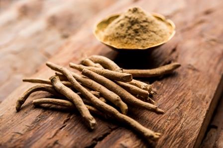 ashwagandha kruid